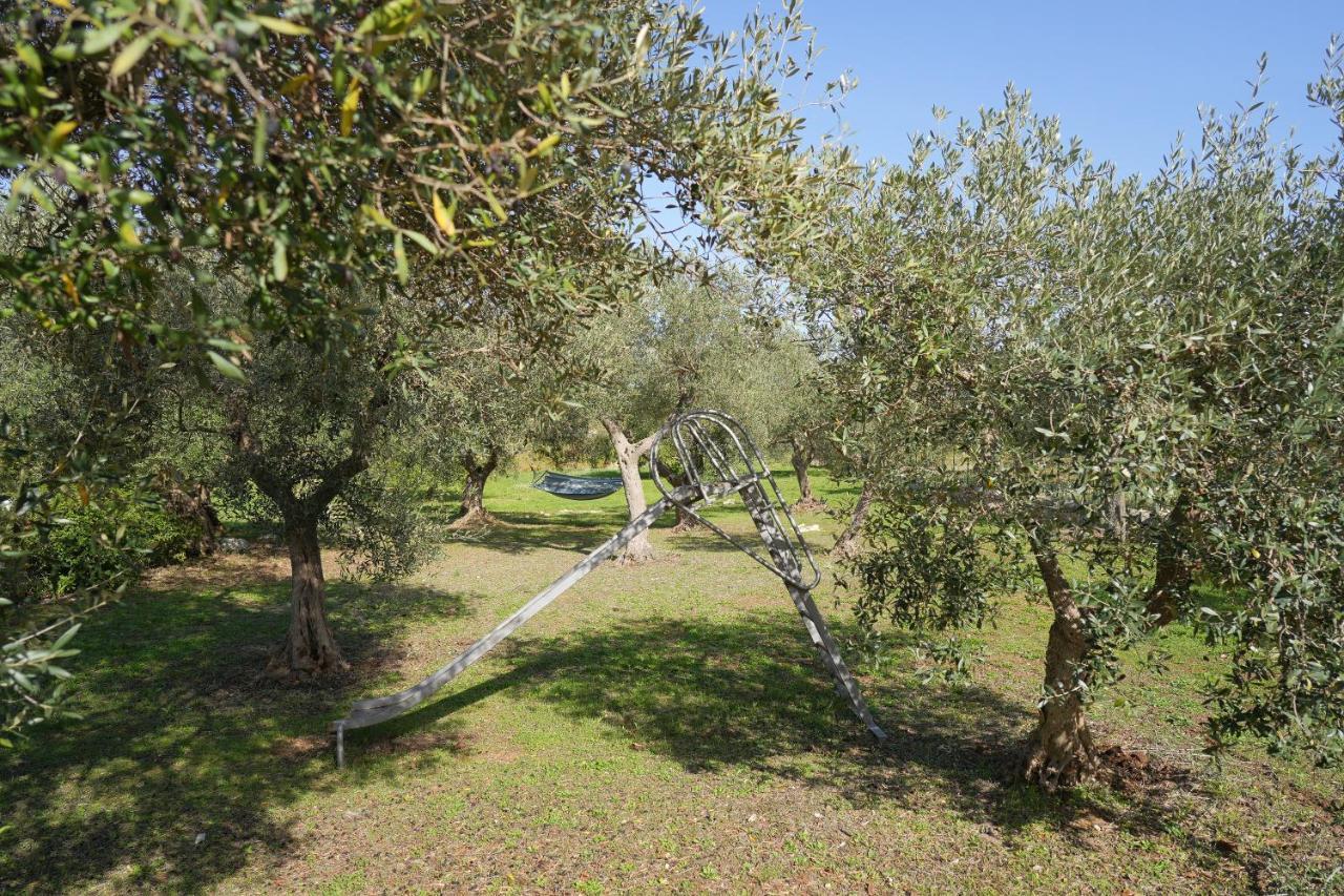 Antiche Dimore Terrarossa ألبيروبيللو المظهر الخارجي الصورة