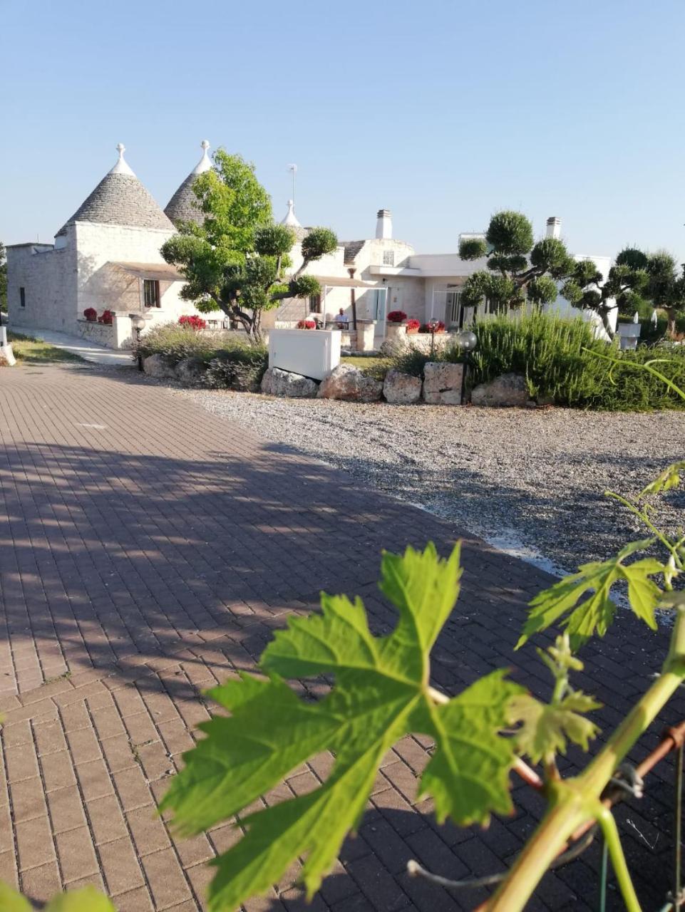 Antiche Dimore Terrarossa ألبيروبيللو المظهر الخارجي الصورة