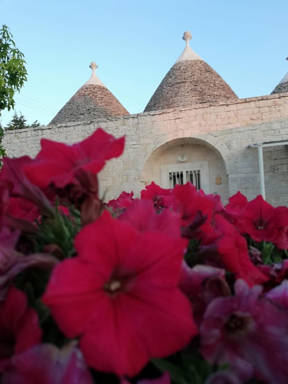 Antiche Dimore Terrarossa ألبيروبيللو المظهر الخارجي الصورة